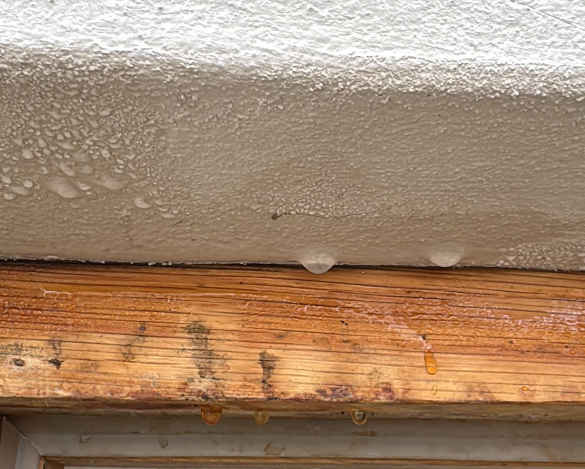 Schimmel und Kondensfeuchte in Keller und bewohnten Räumen